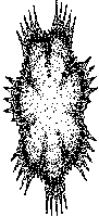 Gumowski/Mira attractor example